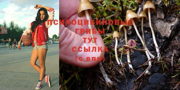винт Гусь-Хрустальный