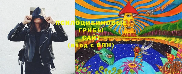 бутират Горнозаводск