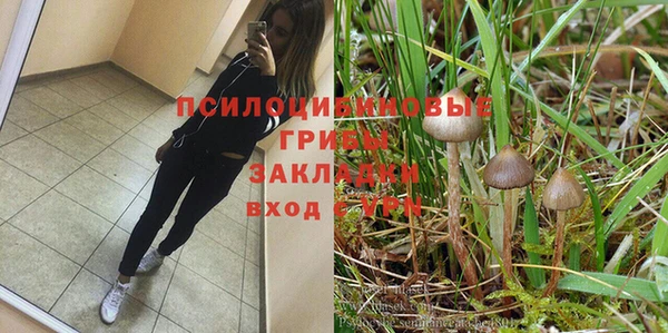 бутират Горнозаводск