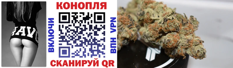 Купить закладки  Одинцово  Шишки марихуана THC 21% 